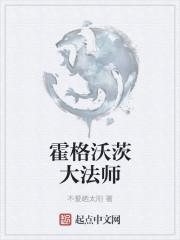 霍格沃兹的法神
