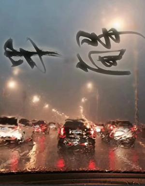 半解析解和解析解的区别