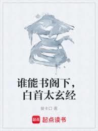 白首太玄经翻译